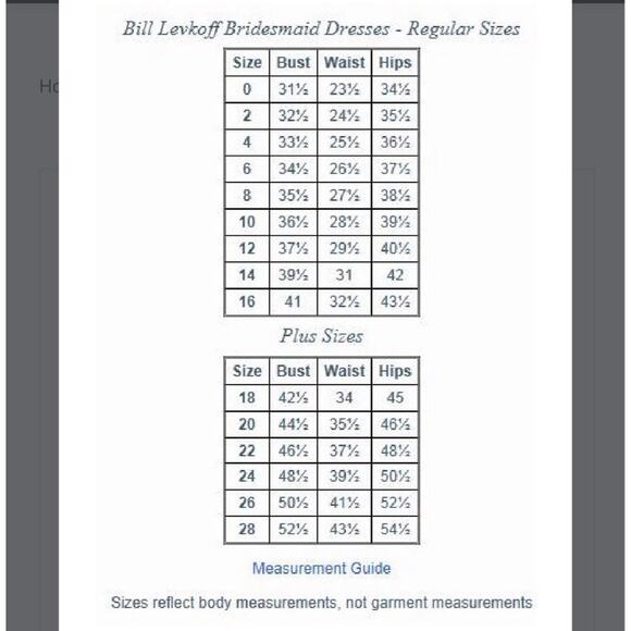 BILL LEVKOFF Chiffon strapless gown, sweetheart neckline, pleated bodice size 14 - Picture 10 of 12